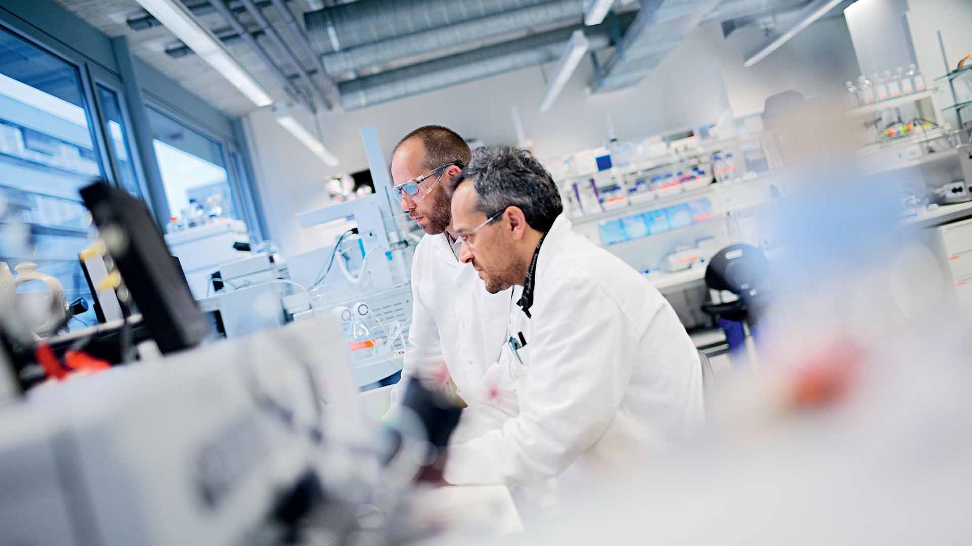 two scientists work in laboratory