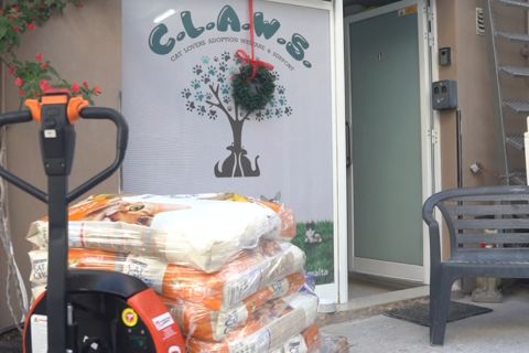 Cat shelter with food from Purina