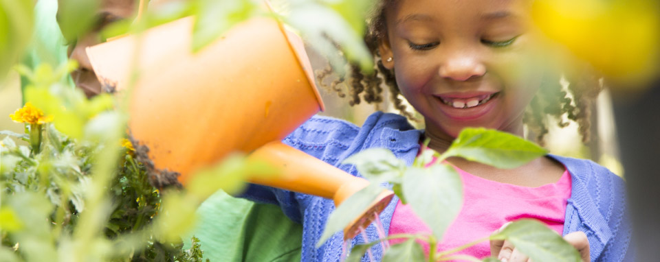 Grow your own