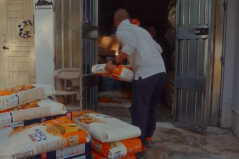A person in a white shirt carries a bag of pet food into a building while additional bags are stacked outside the entrance.