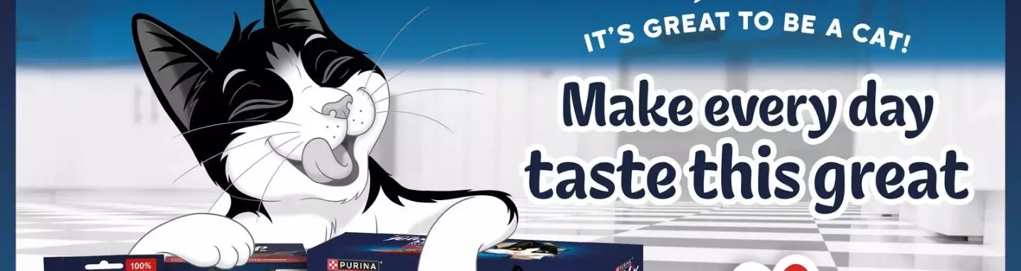 Smiling black-and-white cat beside Purina cat food boxes, with text: “It’s great to be a cat! Make every day taste this great