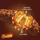lion-bar-512