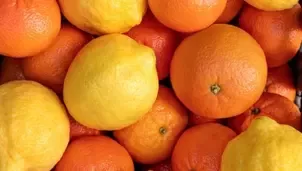 A vibrant assortment of oranges and lemons arranged together, showcasing their bright orange and yellow hues