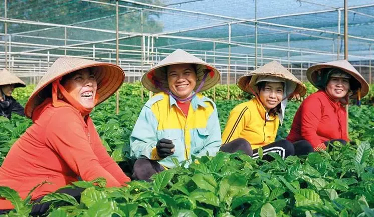 coffee-farmers-in-greenhouse
