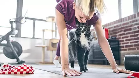a girl with a cat