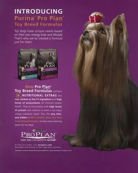 Pro Plan history 1990-2000