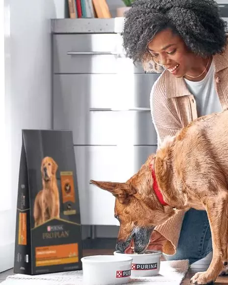a woman feeds a dog