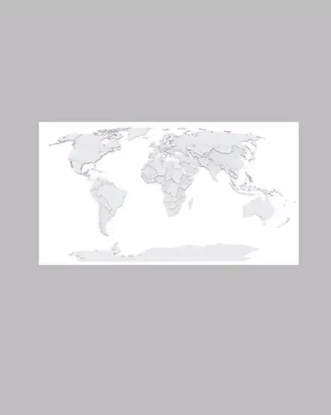 World map