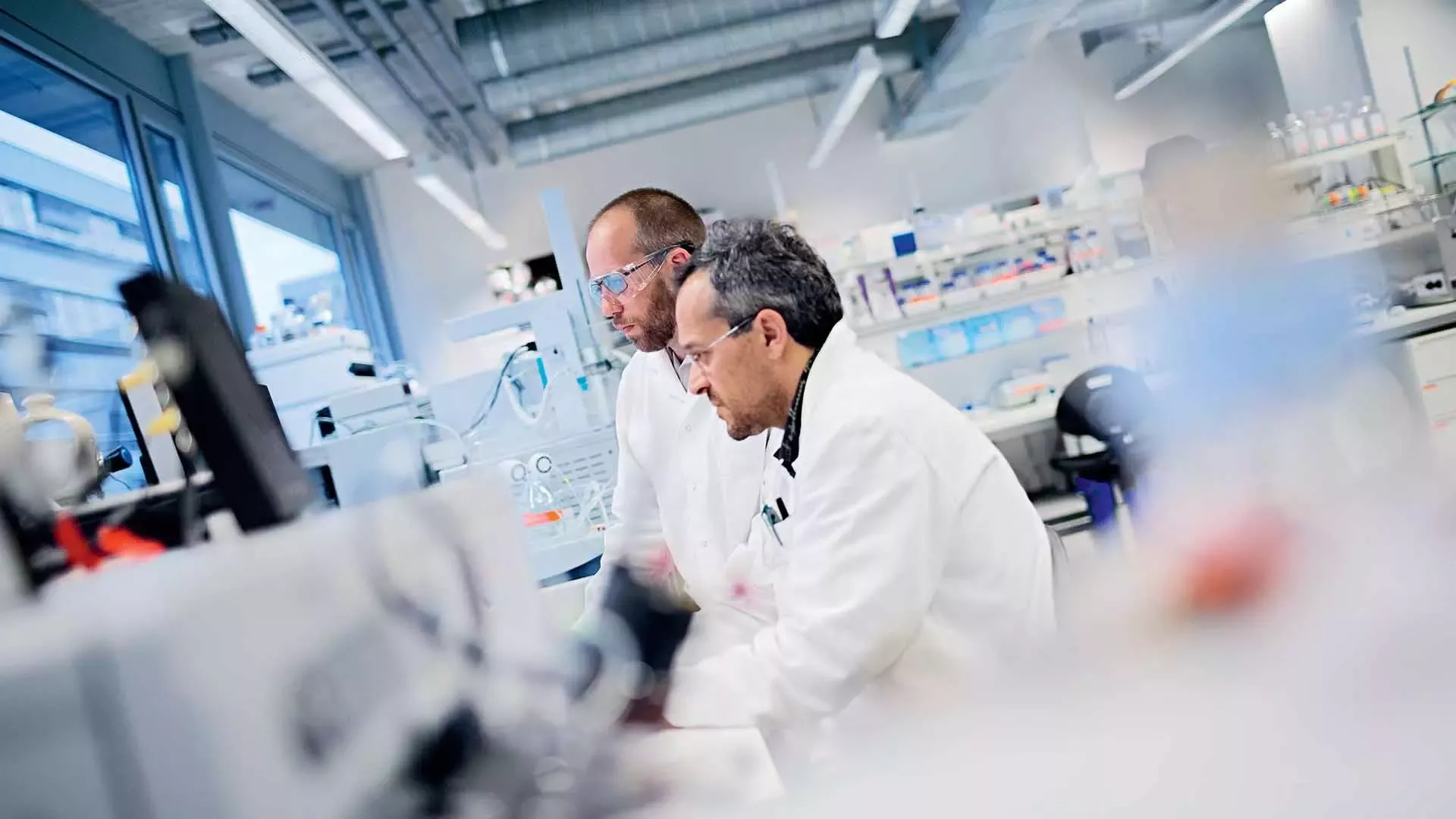 two scientists work in laboratory
