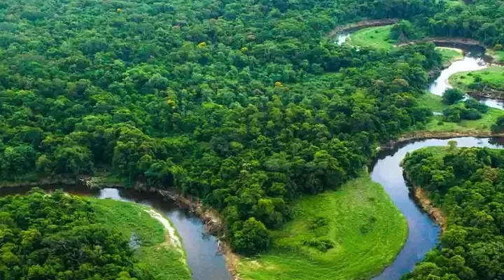 the landscape