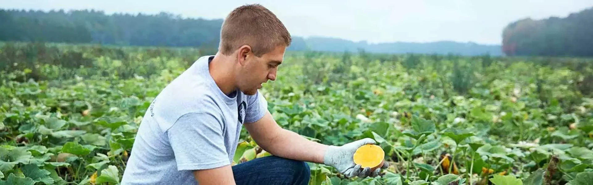 three-brands-sustainability-farmer-big