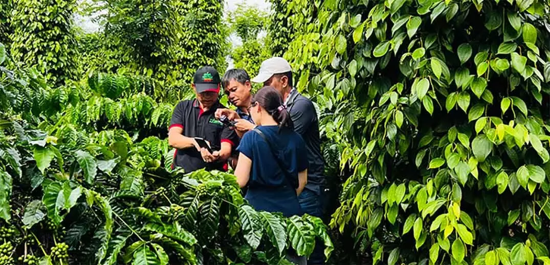 three-brands-sustainability-vietnam-wide